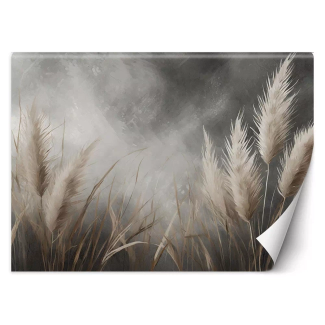 Tapeta Trawy Pampasowe - Fototapeta w odcieniach szarości - Fototapety 3D Gotowe Rozmiary